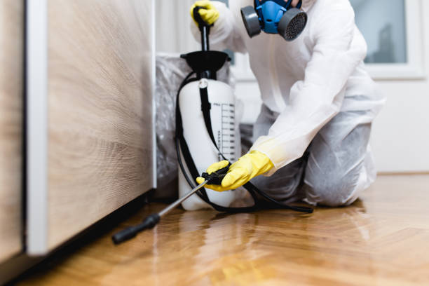 Best Pest Prevention Services  in Eastlawn Gardens, PA