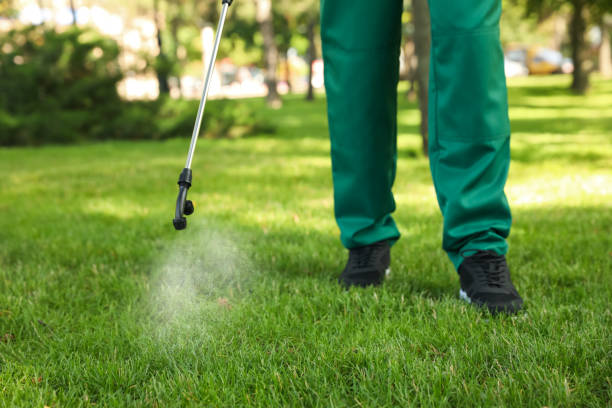 Best Mosquito Control Services  in Eastlawn Gardens, PA